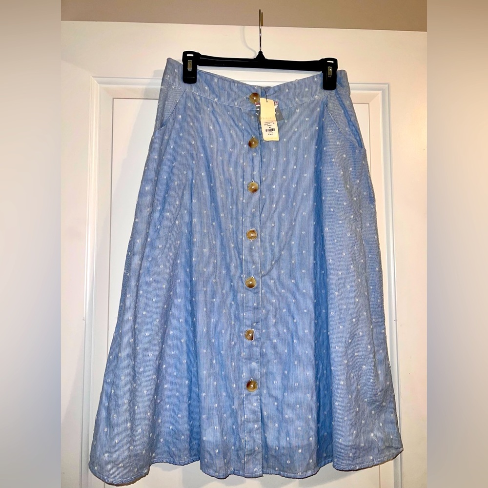 Francesca’s Collection, Mid Length, High waist baby blue striped skirt.